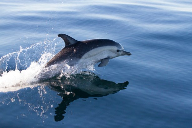 4b0186c8-2ad9-4ae5-b626-9af74a85e843