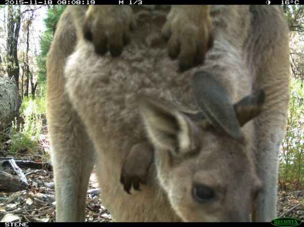 4b02544d-59d6-4e7e-928c-54f74ab8a834