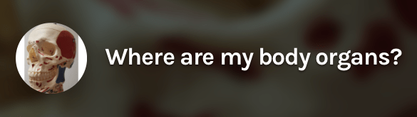 Screen Shot 2018-06-06 at 15.56.00