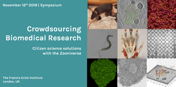 Screen Shot 2019-10-31 at 10.03.41