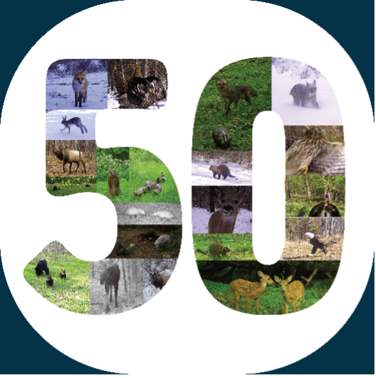 Snapshot WI 50th Logo