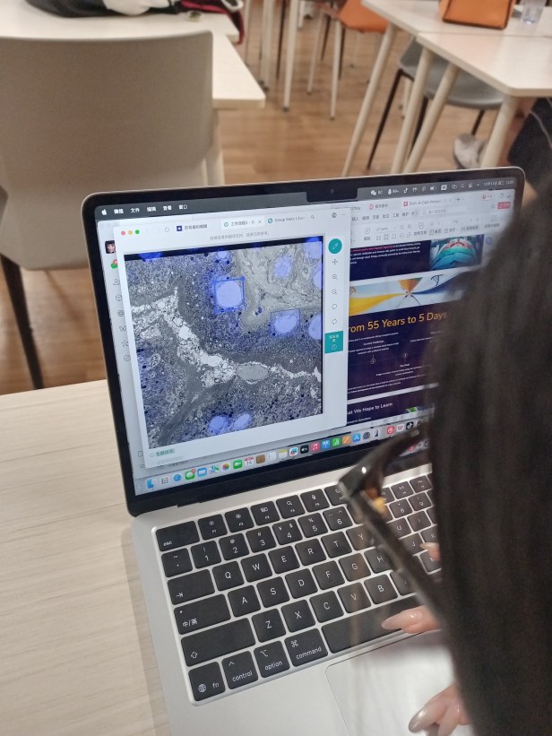 Zooniverse screen on a laptop