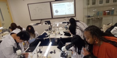 Students working on a Zooniverse project at Majestic International College: BC Program, Foshan, China