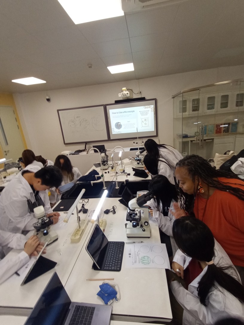 Students working on a Zooniverse project at Majestic International College: BC Program, Foshan, China