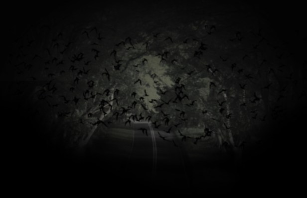 bat-background